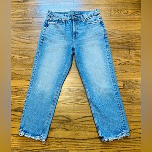 American Eagle Outfitters Blue Denim woman’s Jeans Sz 8 ext short/ext stretch